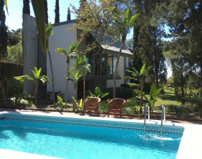 Loft surrounded by nature next to Seville with swimming pool and parking